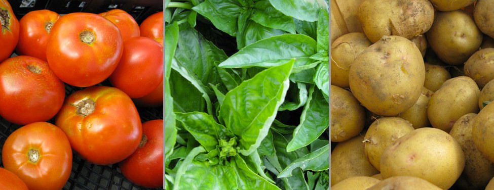 Summer Farmers Markets